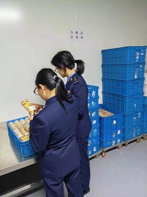 濱江市開展食品生產經營聯合行動，全力保障食品安全