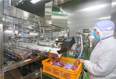 東元空調 以精密環境控制，賦能食品技術開發與安全生產