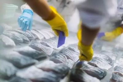 熟凍海鮮不如新鮮的好？真正頂級的鮮味，選對保藏方式才是王道